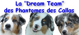 dreamteam.jpg dreamteam