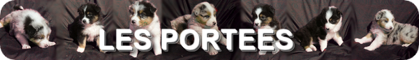 bandeau-portee