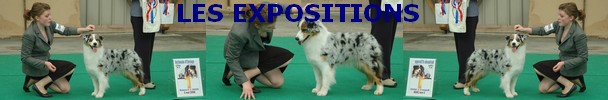 bandeau-expo